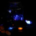 indigos-observatory avatar