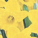 indiiscriminate avatar