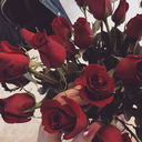 indirectkisses avatar