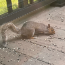 indubitably-moi avatar