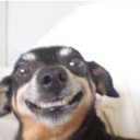 ineedabetterurlpleasehelpme avatar