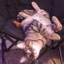 ineedaholeinmyhead avatar