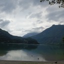 ineedbloodinmyveins avatar