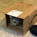 ineedyousooomuchcloser avatar