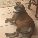 ineffable-edith avatar