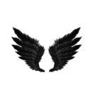 ineffablequotes avatar