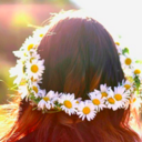 ineverheardsomanylies-blog-blog avatar