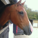 ineverusedtobelikethis avatar