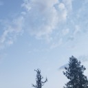 inevitable-space avatar