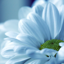 inexorable-me avatar