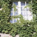 infamousacademia avatar