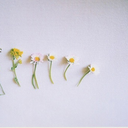 infeccion-congenita avatar