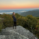 inferior-dino avatar