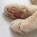 inferiorthoughts avatar