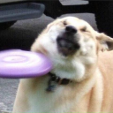 infernal-desires avatar