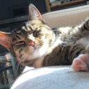 inferno-system avatar