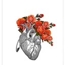 infinitamente-humana avatar