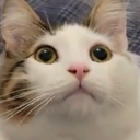 infinite-arson avatar