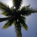 infinite-confusion avatar