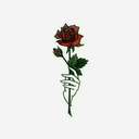 infinite-exist-ence-blog avatar