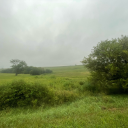 infinite-lucid-daydreams avatar