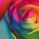 infinite-promisee avatar