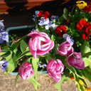 infinitefloraldreams avatar