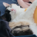 infinitely-repeating avatar