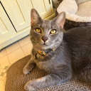 infinitelyordinary33 avatar