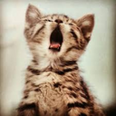 infinitesimalthings avatar