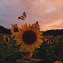 infinitesunshine avatar