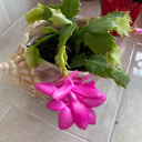 infinitivelovexo avatar