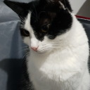 infinity-of-light avatar