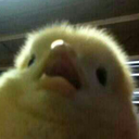 infinity-on-purgatory avatar