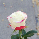 infinity-suffering-blog avatar