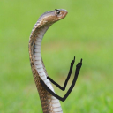 infinitychanges avatar