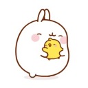 info-chan21111 avatar