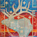 informedbyaconstellation avatar