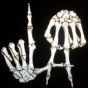 inglorious666 avatar