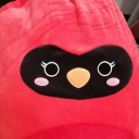 ingulo-agualo avatar