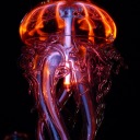 inherhouseshewaitsdreaming avatar