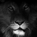 inimitablegrace avatar