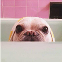 ininnamorata-blog avatar