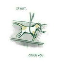 ink0sans-blog avatar