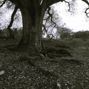 inkandpaperpoetry-blog avatar