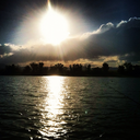 inkandsimplicity avatar