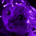 inkcloudmouse avatar