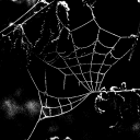 inkcobwebs avatar