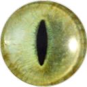 inkydelusions avatar