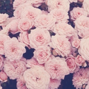 inlovewithourworld avatar